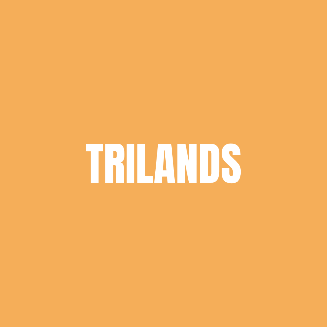 stylized image of a lowpoly Trilands 3D asset